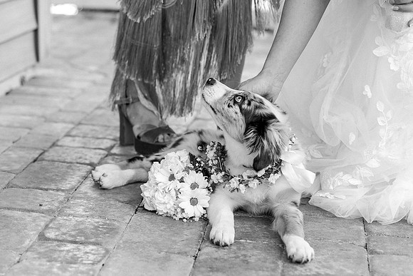 wedding-212