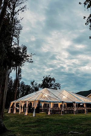 wedding-412