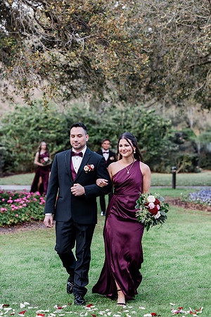 wedding-542