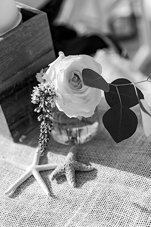 Wedding-488