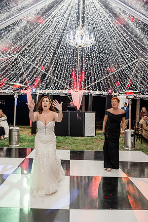 wedding (1219 of 1462)