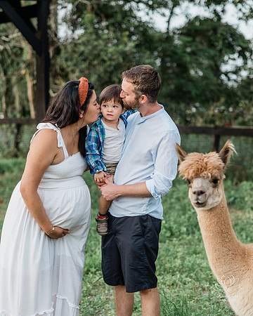 ALPACAMATERNITY-4