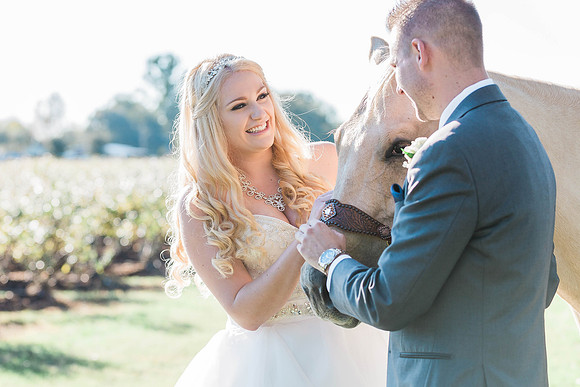 Horse and newlywed couple Ocala, Florida