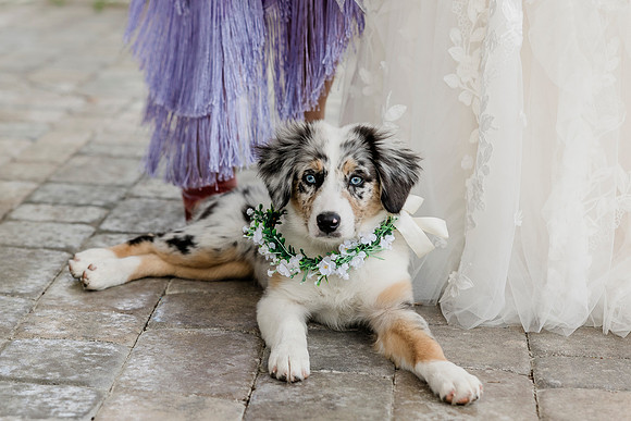 wedding-210