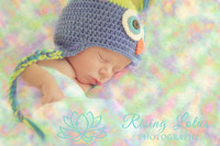 Newborn Photography- Tampa, FL